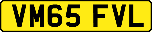 VM65FVL