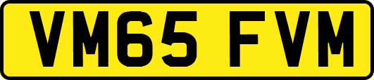VM65FVM