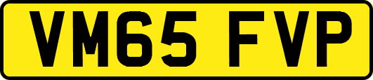 VM65FVP