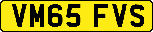 VM65FVS