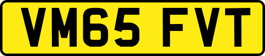 VM65FVT