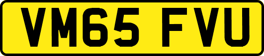 VM65FVU
