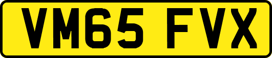 VM65FVX
