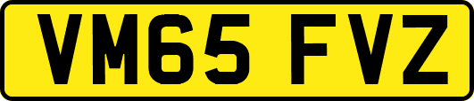 VM65FVZ