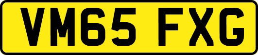 VM65FXG