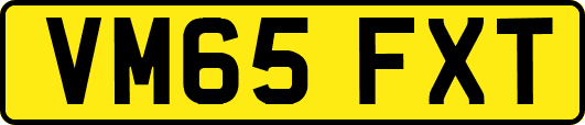 VM65FXT