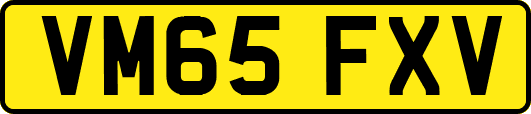 VM65FXV