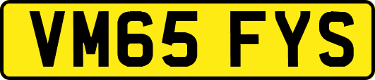 VM65FYS