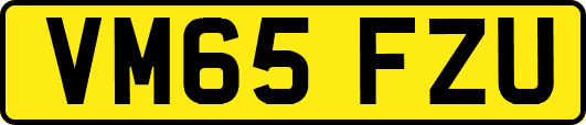 VM65FZU