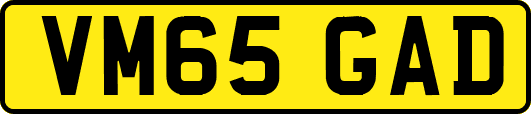 VM65GAD