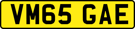 VM65GAE