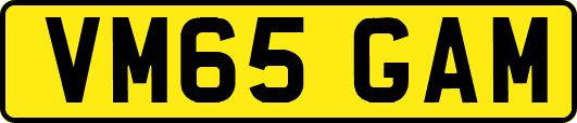 VM65GAM