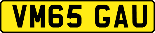 VM65GAU