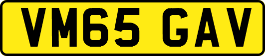 VM65GAV