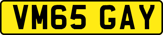 VM65GAY