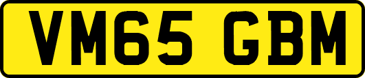 VM65GBM