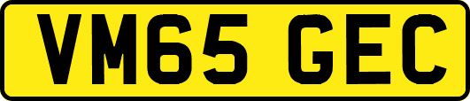 VM65GEC