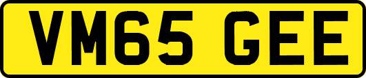 VM65GEE