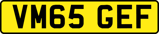 VM65GEF