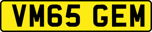VM65GEM