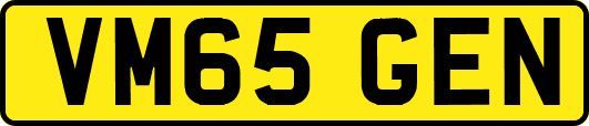 VM65GEN