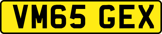VM65GEX