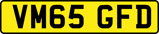VM65GFD