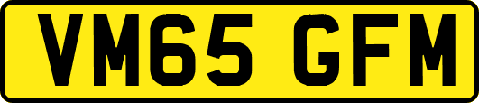 VM65GFM