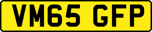 VM65GFP