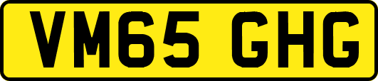 VM65GHG