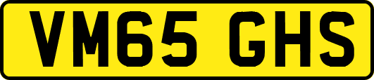 VM65GHS