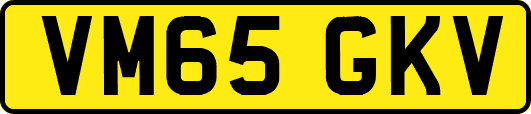 VM65GKV