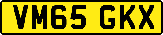 VM65GKX