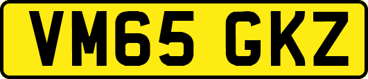 VM65GKZ