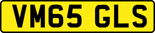 VM65GLS