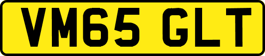 VM65GLT