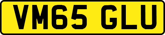 VM65GLU