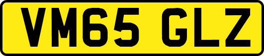 VM65GLZ