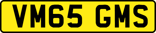 VM65GMS