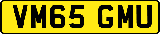 VM65GMU