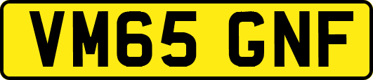 VM65GNF