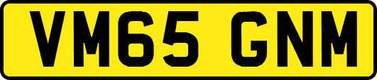 VM65GNM