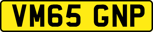 VM65GNP