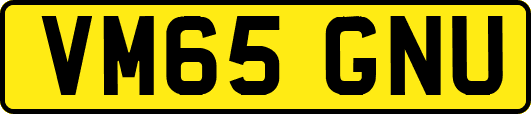 VM65GNU