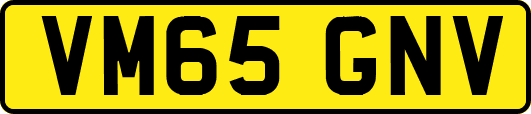 VM65GNV