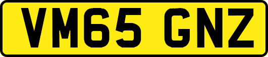VM65GNZ