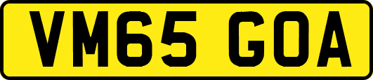 VM65GOA