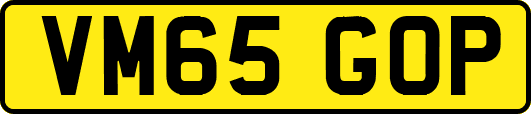 VM65GOP