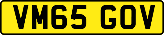 VM65GOV