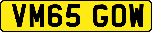 VM65GOW